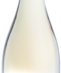 Sauvignon Blanc Frizzante 2021 Bio hrozno